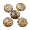 Natural Picture Jasper Cabochons G-C115-02B-22-1