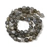 Natural Labradorite Beads Strands G-Q060-B02-3