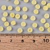 FGB Frosted Transparent Glass Seed Beads SEED-N013-04A-02-4
