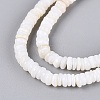 Natural Freshwater Shell Beads Strands SHEL-Q028-01-4