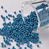 11/0 Grade A Baking Paint Glass Seed Beads X-SEED-N001-A-1017-1