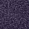 TOHO Round Seed Beads SEED-XTR11-0019F-2
