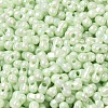 Opaque Colours Luster Glass Seed Beads X1-SEED-B001-01A-10-3