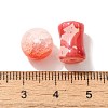 Mixed Style Glass Beads GLAA-XCP0012-02L-3