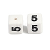 Handmade Porcelain Beads LS-PORC-R003-07-05-2