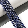 Natural Sodalite Beads Strands G-B091-A06-01-2