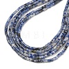Natural Blue Spot Jasper Beads Strands G-P600-B05-01-4
