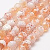 Faceted Natural Fire Crackle Agate Beads Strands X-G-F447-6mm-B03-1