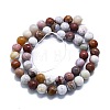 Natural Ocean Jasper Beads Strands G-P457-C03-06-3