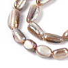 Electroplated Natural Freshwater Shell Beads Strands X-SHEL-T020-33-3