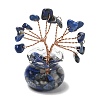 Natural Lapis Lazuli Chips Tree of Life Decorations DJEW-Z007-02S-2