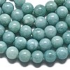 Natural Malaysia Jade Beads Strands G-L645-A01-14mm-25-2