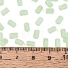 FGB Frosted Transparent Glass Seed Beads SEED-N013-05A-08-4