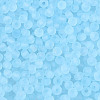 FGB Frosted Transparent Glass Seed Beads SEED-N013-04A-11-3