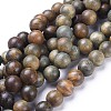 Natural Sandalwood Beads Strands X-WOOD-F008-02-B-1