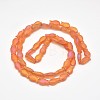 Frosted Electroplate Glass Fish Beads Strands X-EGLA-M001-D02-2