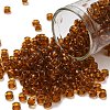 TOHO 6/0 Round Beads SEED-TR06-2152-1