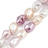 Electroplated Shell Pearl Beads Strands BSHE-H113-05D-1