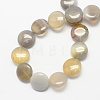 Natural Grey Agate Stone Bead Strands G-S110-04-2