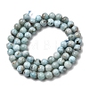 Natural Larimar Beads Strands G-B156-A01-6mm-3