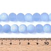 Frosted Transparent Glass Beads Strands LS-GLAA-T032-T10mm-MBB04-4
