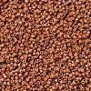 MIYUKI Delica Beads SEED-JP0008-DB2107-3