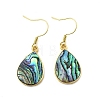 Brass Natural Paua Shell Dangle Earrings EJEW-M060-19B-G-4