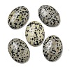 Natural Dalmatian Jasper Cabochons G-C115-01B-10-1