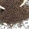 TOHO 6/0 Demi Round Beads X-SEED-DR06-0204-3