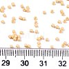 11/0 Grade A Glass Seed Beads X-SEED-S030-1017-4