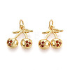 Brass Micro Pave Cubic Zirconia Charms KK-N265-30G-1