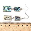 Brass Natural Abalone Shell Dangle Earrings EJEW-F388-01C-P-5