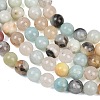 Natural Flower Amazonite Beads Strands G-F415-8mm-7