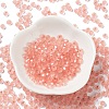 6/0 Glass Seed Beads SEED-Z001-B-E10-2