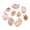 Electroplate Natural Spiral Shell Pendants SSHEL-Q100-35G-1
