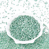 Baking Paint Glass Seed Beads SEED-Q041-03A-03-2