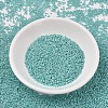 MIYUKI Delica Beads SEED-JP0008-DB1567-2