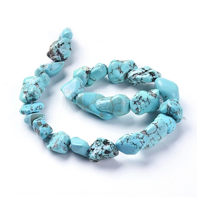 Natural Magnesite Beads Strands TURQ-G152-B01-1