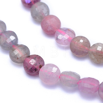 Natural Red Corundum/Ruby and Sapphire Beads Strands G-E530-07AF-1