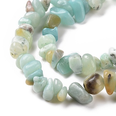 Natural Flower Amazonite Chips Beads Strands X-G-M205-12B-1