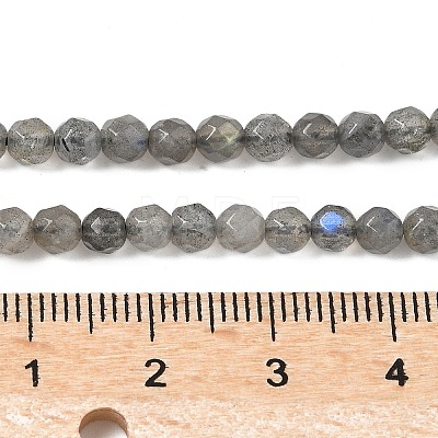 Natural Labradorite Beads Strands G-G213-4mm-03-1