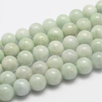 Natural Myanmar Jade/Burmese Jade Beads Strands G-F306-13-10mm-1