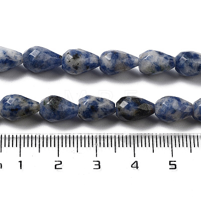 Natural Blue Spot Jasper Beads Strands G-P520-B21-01-1