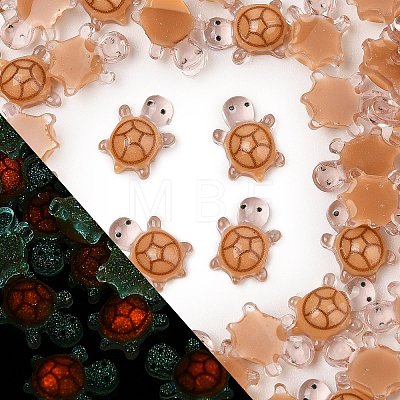 Luminous Resin Cabochons RESI-U003-03E-1