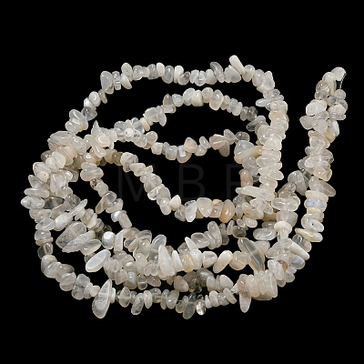 Natural Moonstone Beads Strands G-G0003-B42-1