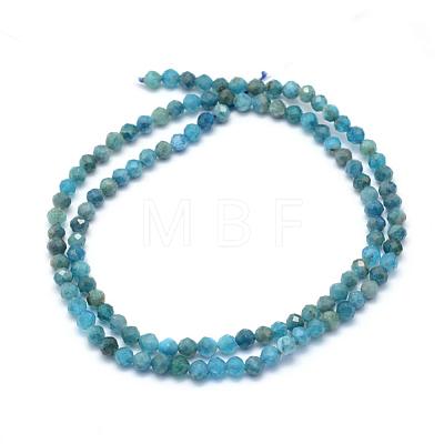 Natural Apatite Beads Strands G-E411-36-2mm-1