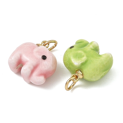 Handmade Porcelain Charms PALLOY-JF05920-1