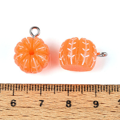 Opaque Resin Pendants RESI-T059-10-1