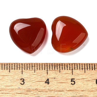 Natural Carnelian Cabochons G-F776-02A-02-1