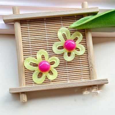 Resin Cabochons CRES-YWC0003-01A-1